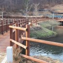 신상동 인공습지 이미지