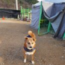 진태농장 이미지