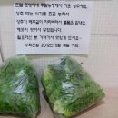 준열농장 Daum카페