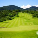 그린필드 컨트리클럽 이미지