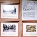 비녀미용재료