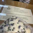 [속초] 속초중앙시장(감자옹심이, 닭강정), 사바사바치킨, 포인텟, 한성칼국수
