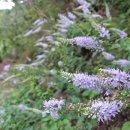 우량농장 이미지