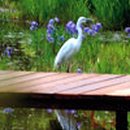 동물식물 생태체험교실 이미지