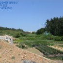 노화읍-6 네이버블로그