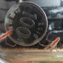 LARVA STAGE 이미지