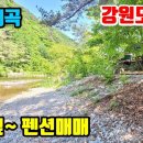 (8095) 평창 흥정계곡펜션매매 ● 물놀이 하기좋은 최고입지 ● 토지 562평 + 건물 155평 이미지