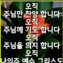 샬롬