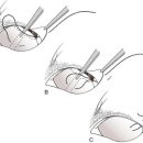 강앤정 동물병원 이미지