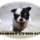 남양트라이