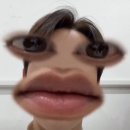 메이크위드 | 260301 메이크스타 영통팬싸후기