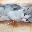 현세한의원 이미지