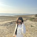 해미치과의원 | 퇴사 일기 / 백수 일기 12~14일차 (나솔사계에 미친자의 2박 3일 태안 여행)
