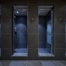 라이언짐 이미지