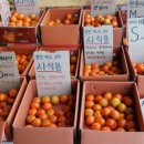 우리농산물공판장