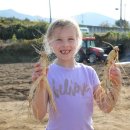 금산인삼농업협동조합 이미지