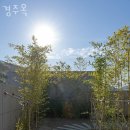경주옥 이미지