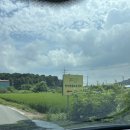 청려원 반려동물 센터 | 사지마세요 입양하세요 ! 청주 반려동물보호센터 강아지 입양후기