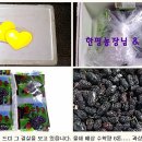 동실농장 이미지