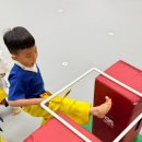 용호도장 이미지