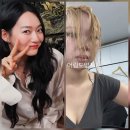 '워터밤' 이영지, 물세례 맞고 끝이 아니었다…신민아와 술자리→춤까지 “물 뿌리지 말아 달라” 이미지