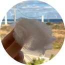 호두구름이네 | 제주 한경면 신창풍차해안도로카페 구름커피｜그린구름