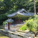 군영숲 | [궁궐이야기 3] 자연과 조화 이룬 가장 한국적인 궁궐 ‘창덕궁 후원’