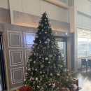 동양 | 영종도 대형 베이커리 카페 , 디저트가 맛있었던 동양염전 후기