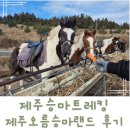 초원랜드 | 제주도 승마 조천 제주오름승마랜드 초원숲길 승마트레킹 후기