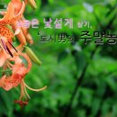 리언농장 이미지