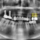 서울미담치과의원 이미지
