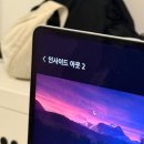 호주 워홀 [D+208~214] 중고차 구매/뉴팜파크 자카란다/브런치/마라탕