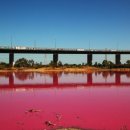 핑크 아케이드 이미지