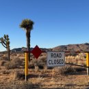 원트리투어 | [미국/LA] 모코코하우스 조슈아트리 투어 후기｜코스·비용·소요시간 총정리