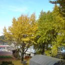 세지중학교 이미지