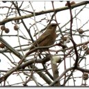 승기천 신연수역 이미지