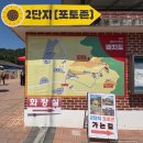 해바라기과일 | [함안 강주해바라기축제] 다녀온 후기 | 실시간 개화현황, 주차, 관람팁, 포토존, 맛집 추천