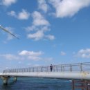 신창싱계물 이미지