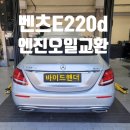 바이드핸더 이미지
