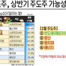 소수