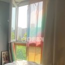 로얄팰리스부동산박민규공인중개사사무소 | 고품격 오피스텔. 수내역의 편리함까지. 로얄팰리스하우스빌 25평 전월세를 소개합니다.