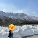 설악블루밍힐 이미지