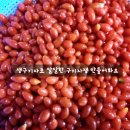 길안청송로(길안면) 이미지