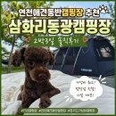 삼화리 | 연천애견동반캠핑장 추천 삼화리동광캠핑장 2박 3일 솔직후기