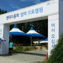 양양오토자동차 이미지