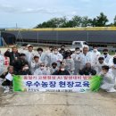 영암오리 이미지