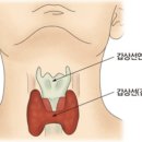 센트럴짐 이미지