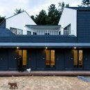 애견민박 멍집 이미지