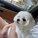 문동세탁 이미지