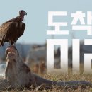 KBS ＜다큐 인사이트＞ -도착한 미래-우리가 우려했던 미래가 현실이 되었다! -배우 김남희 나레이션 이미지